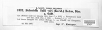 Pyrenopeziza galii-veri image